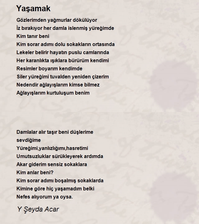 Y Şeyda Acar