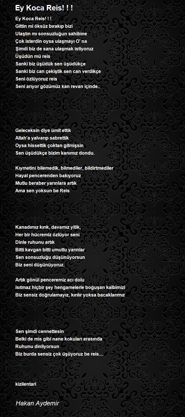 Hakan Aydemir
