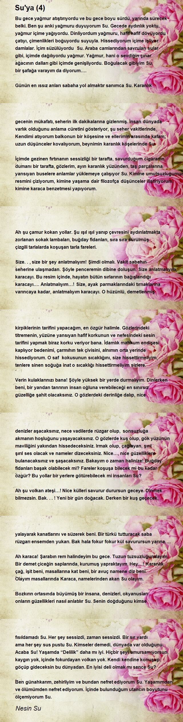 Nesin Su