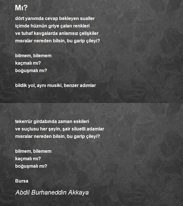 Abdil Burhaneddin Akkaya