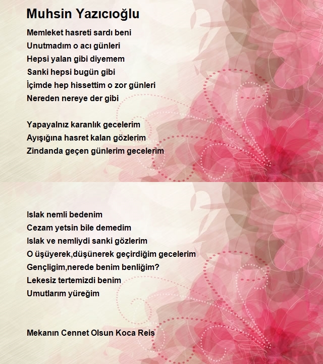 Ayşe Cin
