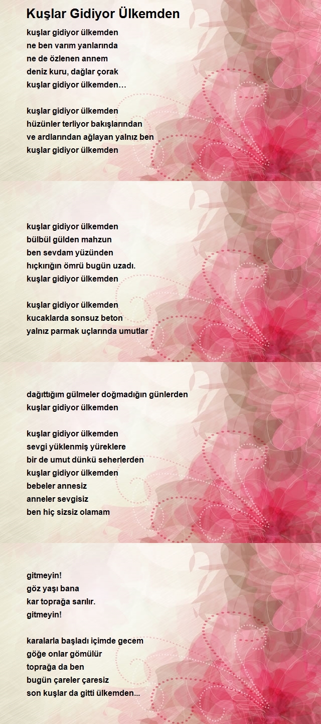 Esra Nasuhbeyoğlu