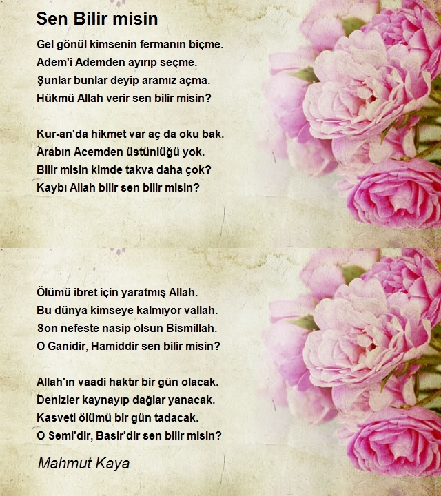 Mahmut Kaya