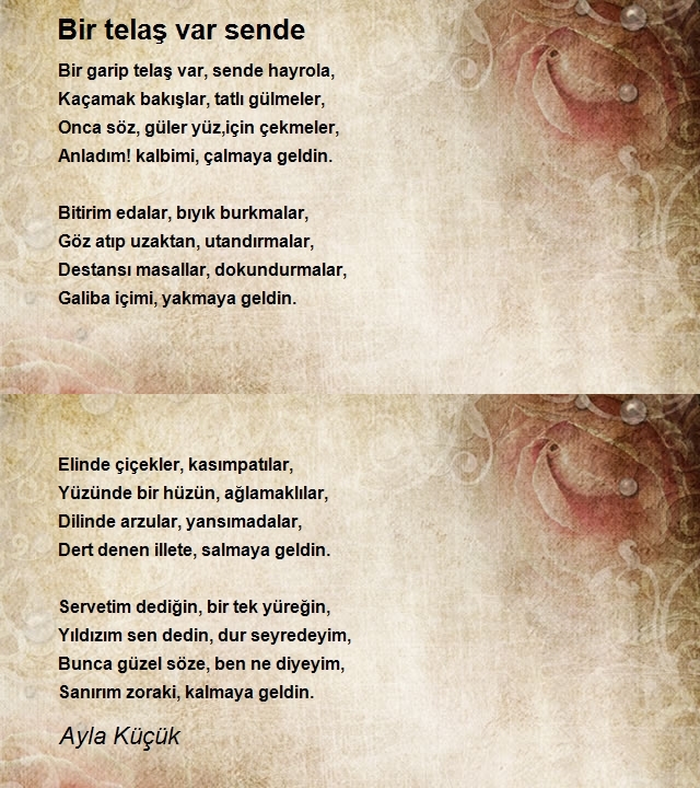 Ayla Küçük