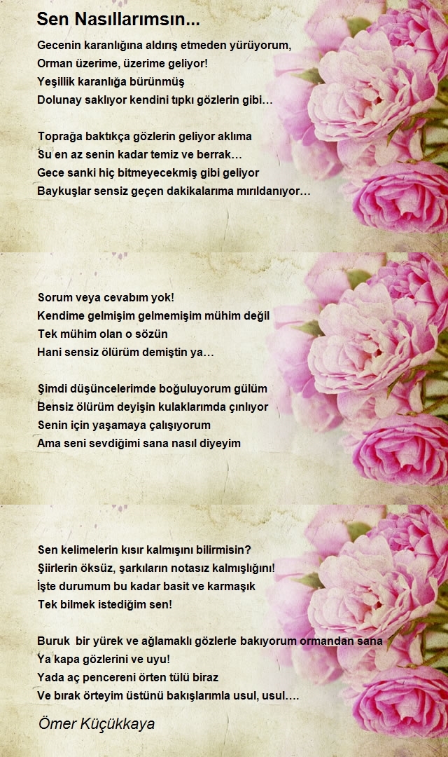 Ömer Küçükkaya