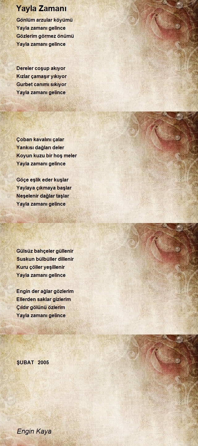 Engin Kaya