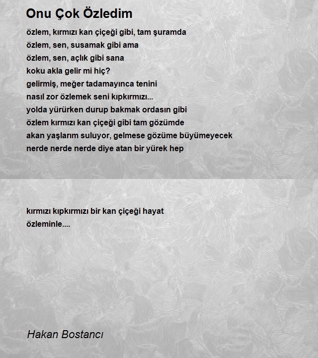 Hakan Bostancı