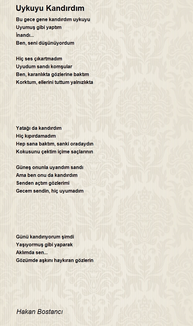 Hakan Bostancı