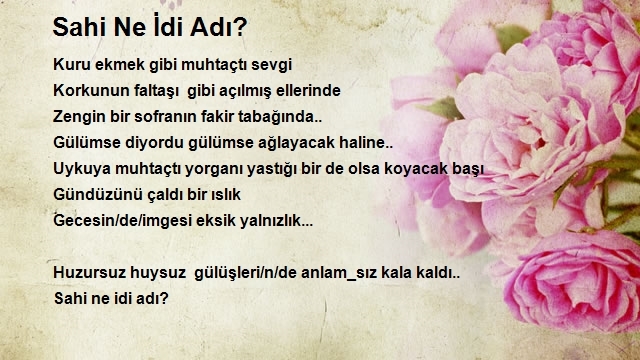 Dilek Hokkaömeroğlu