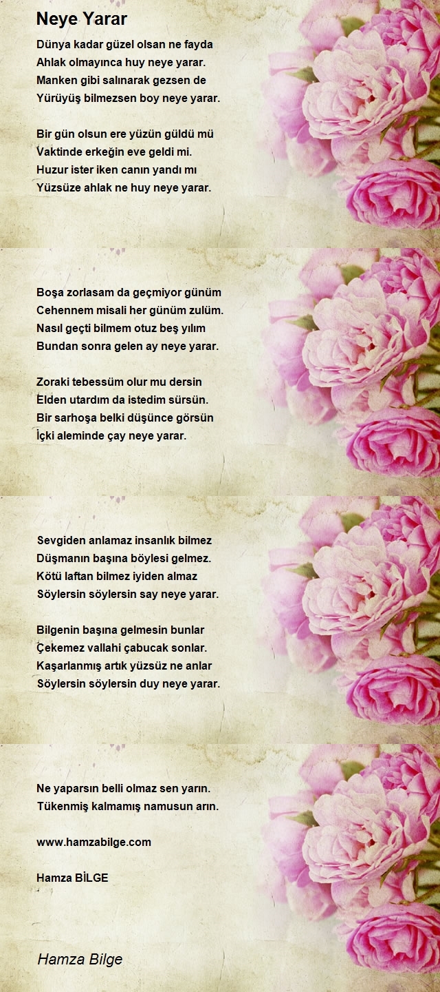 Hamza Bilge