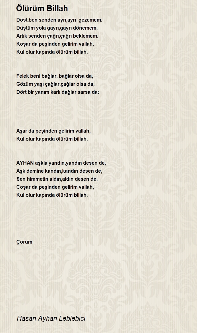 Hasan Ayhan Leblebici