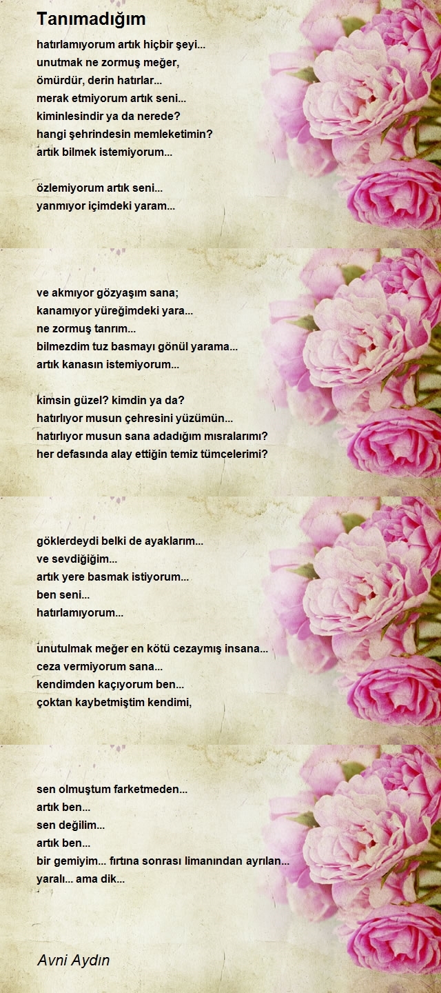 Avni Aydın