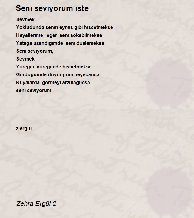 Zehra Ergül 2