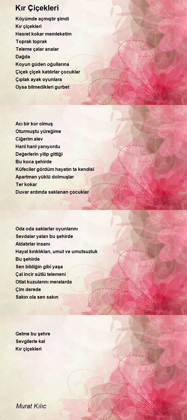 Murat Kılıc