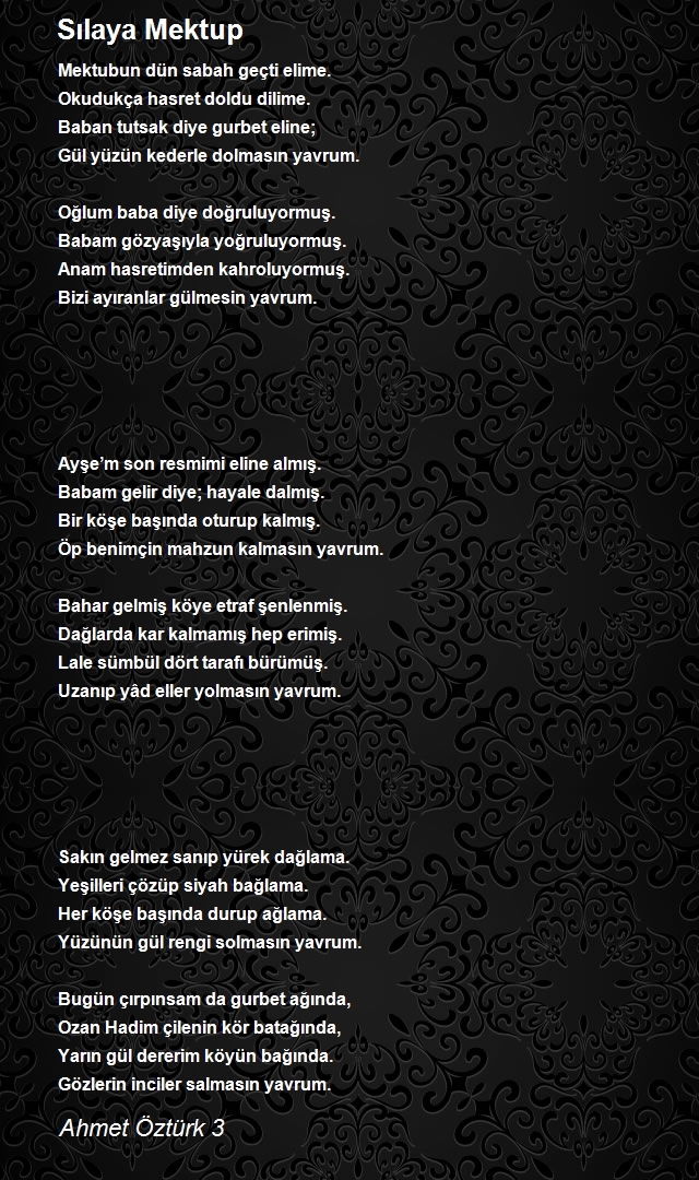 Ahmet Öztürk 3