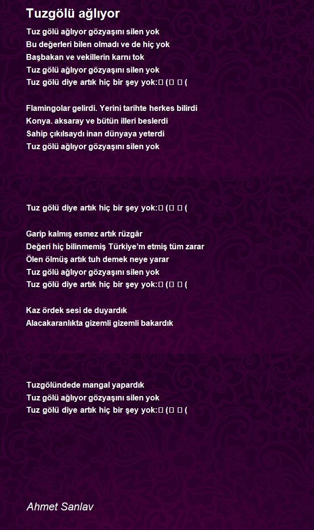 Ahmet Sanlav