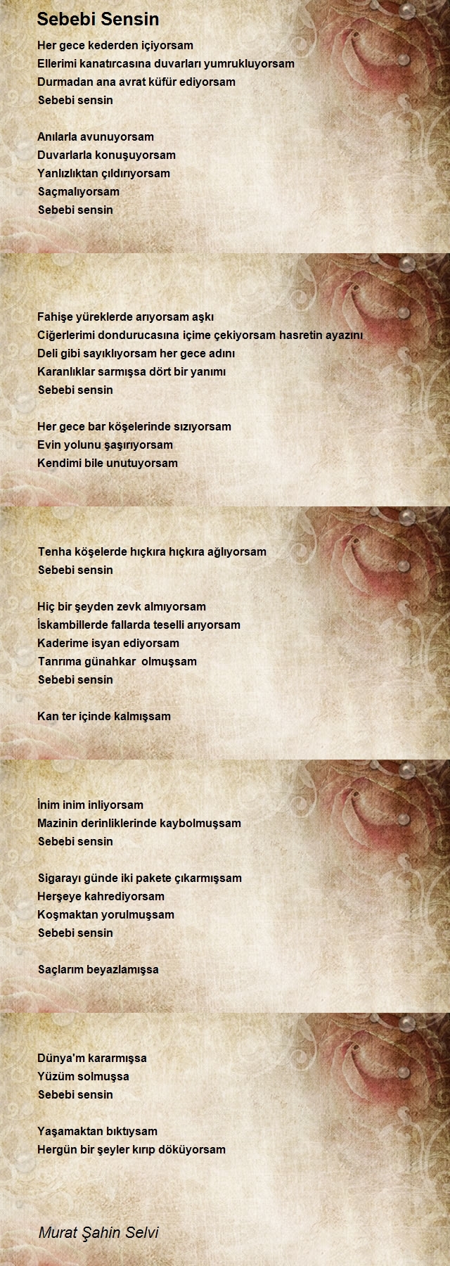 Murat Şahin Selvi