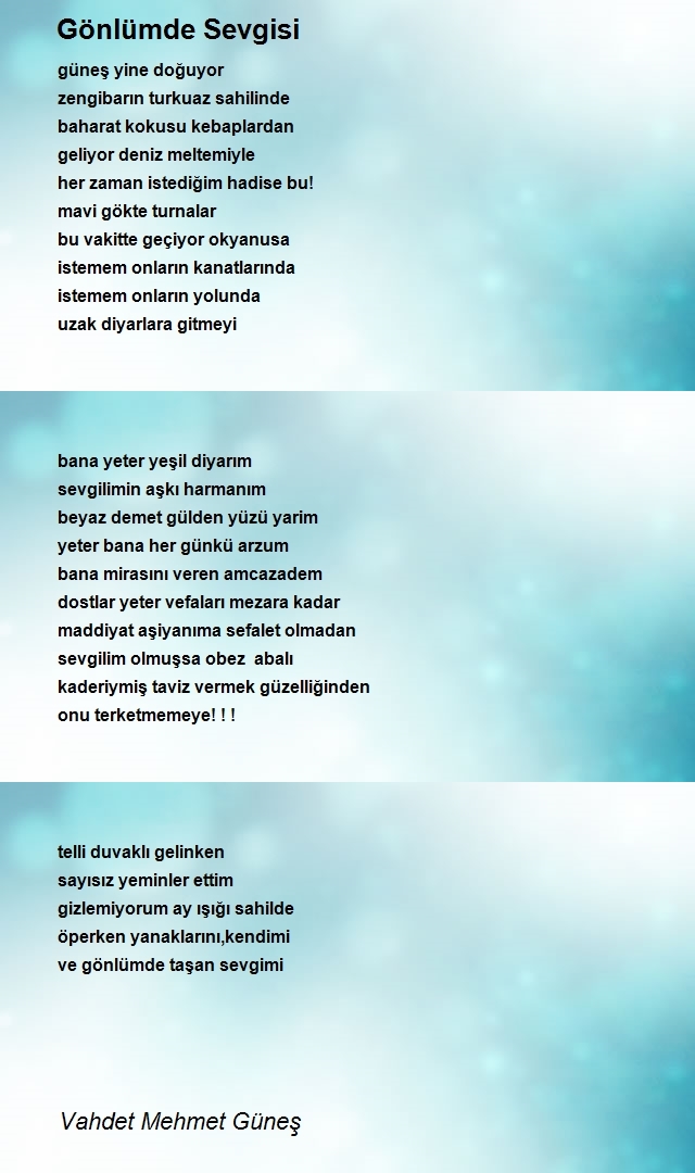 Vahdet Mehmet Güneş