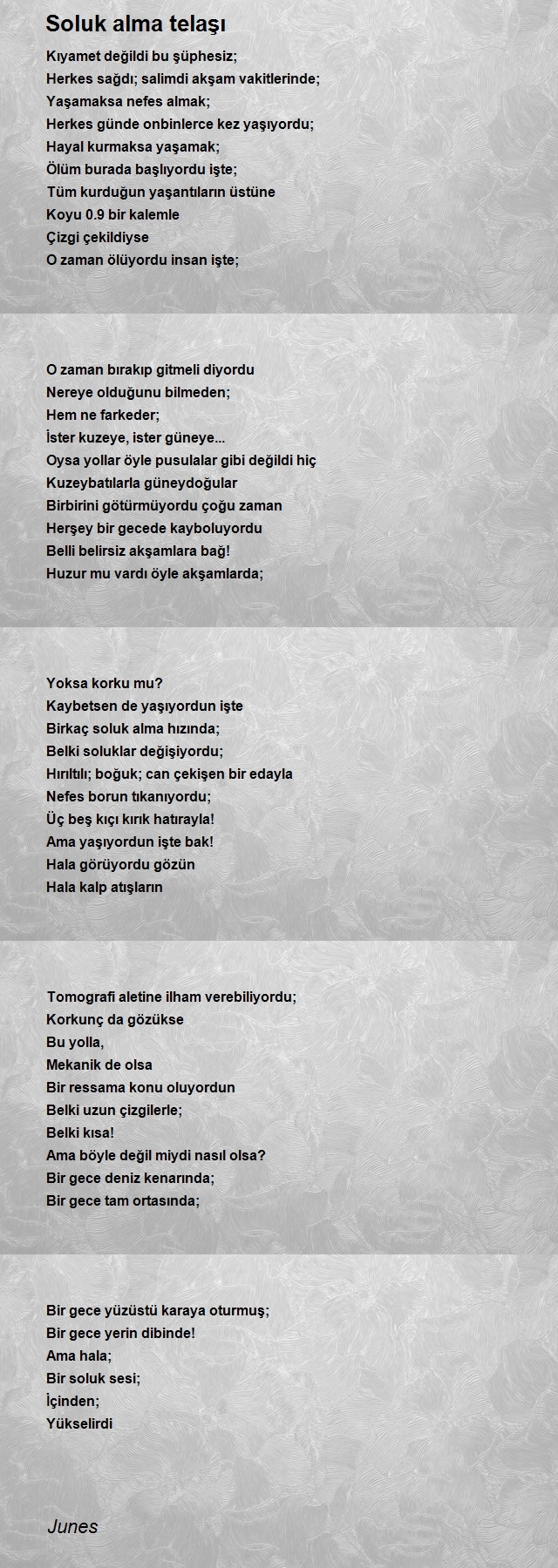 Şair Junes
