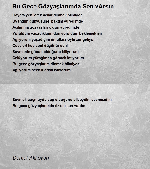 Demet Akkoyun