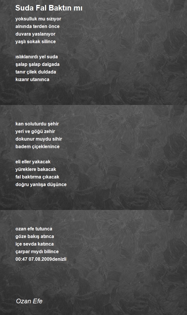 Ozan Efe