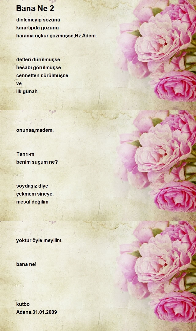 Metin Toprak