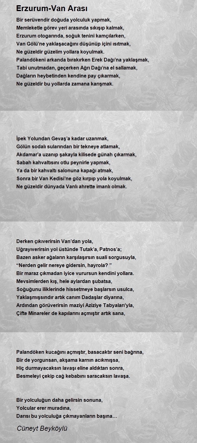 Cüneyt Beyköylü