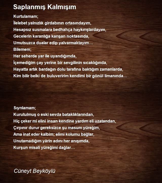 Cüneyt Beyköylü