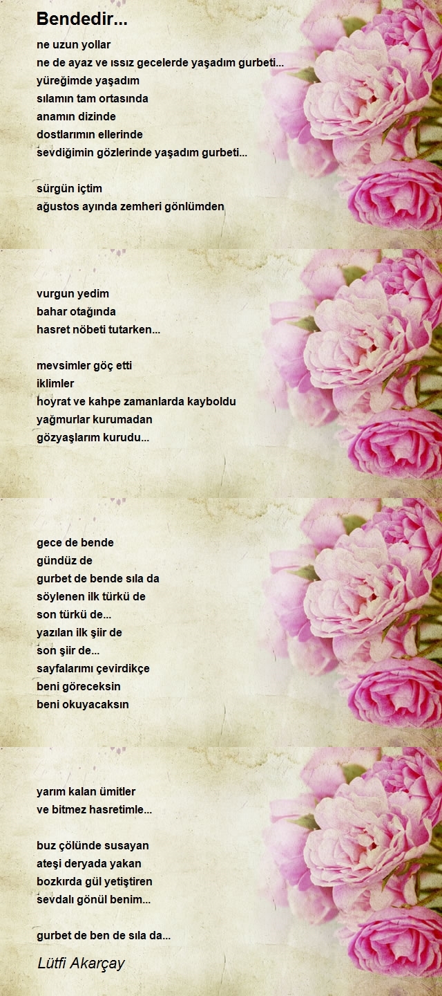 Lütfi Akarçay