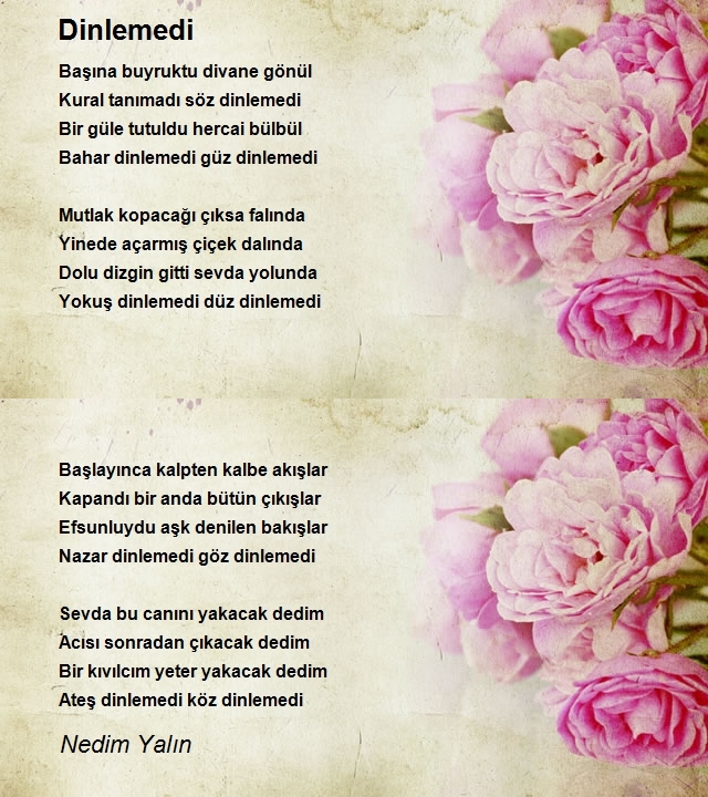 Nedim Yalın