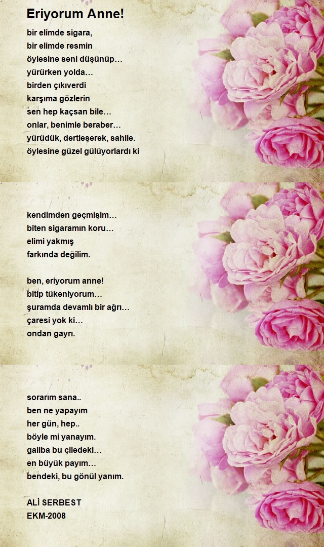 Ali Serbest
