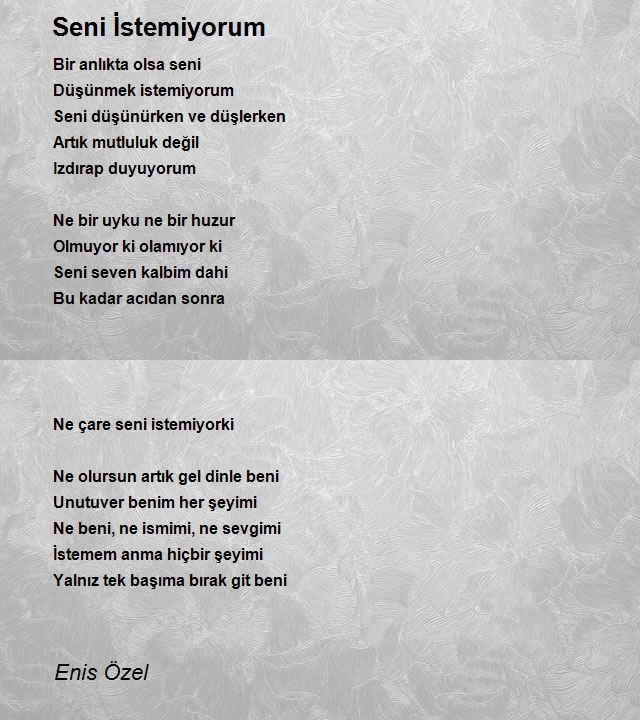 Enis Özel