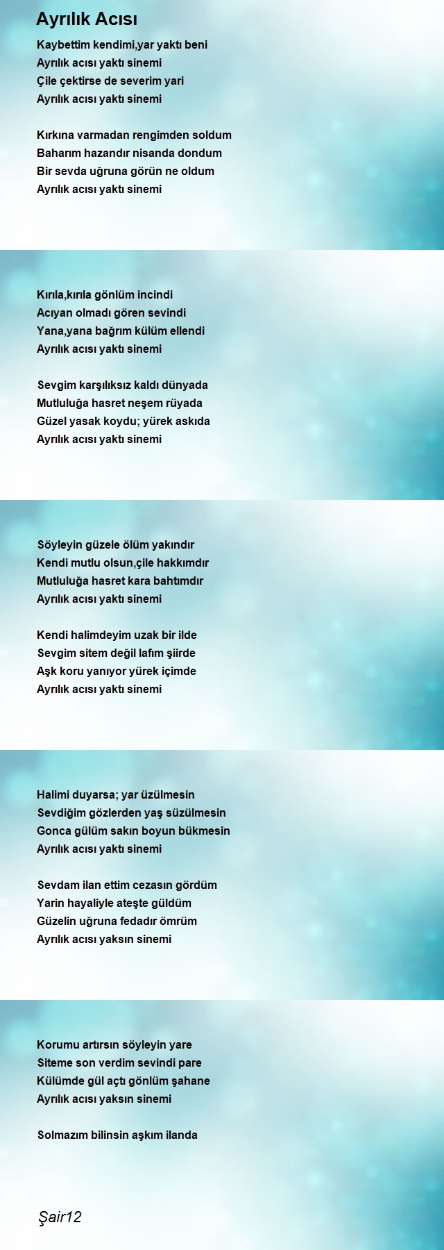 Şair Şair12
