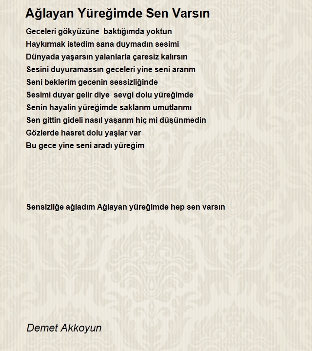 Demet Akkoyun