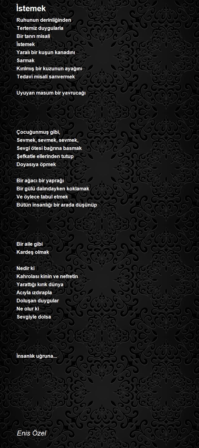Enis Özel