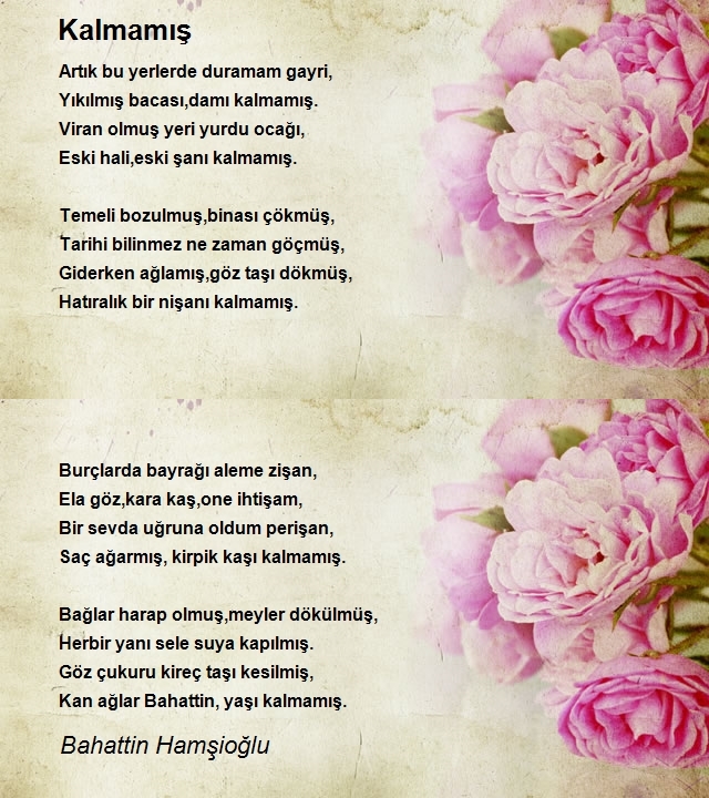 Bahattin Hamşioğlu