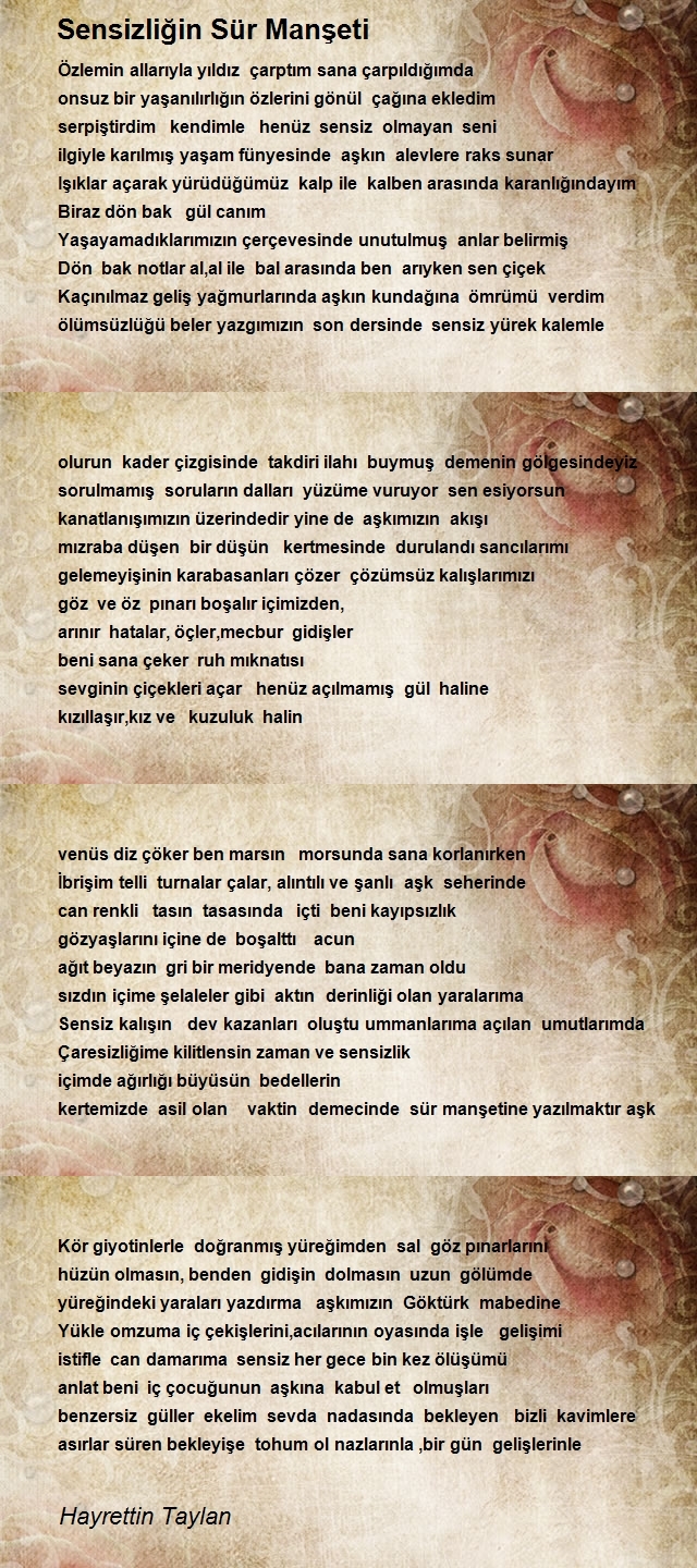 Hayrettin Taylan
