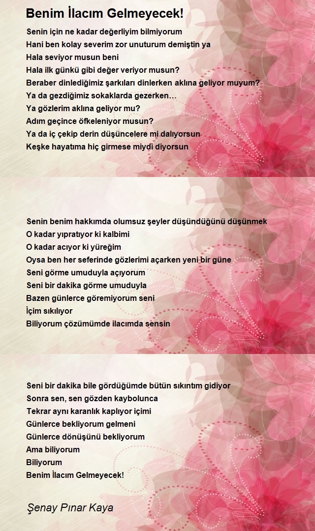 Şenay Pınar Kaya