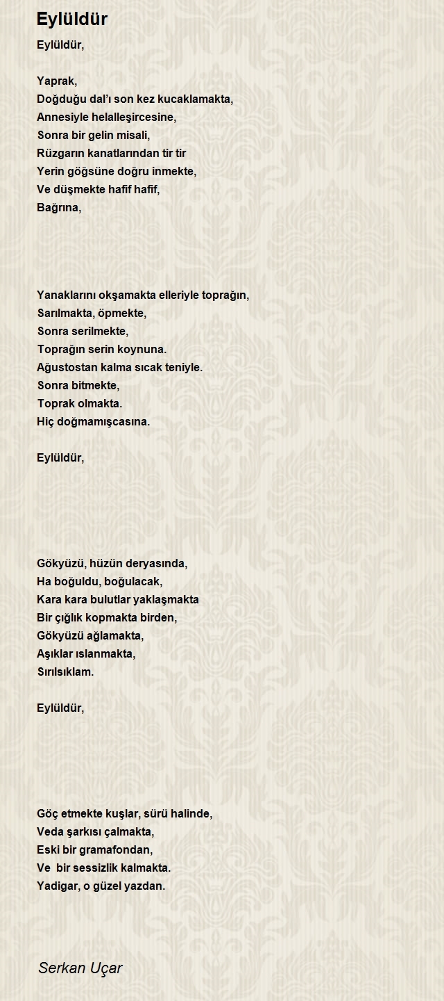 Serkan Uçar