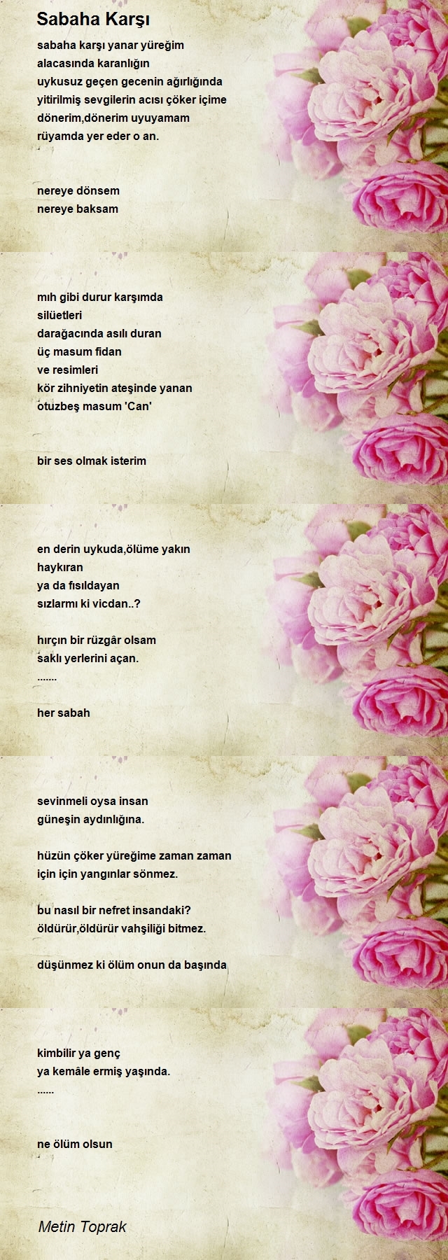 Metin Toprak