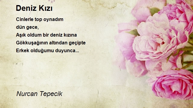 Nurcan Tepecik