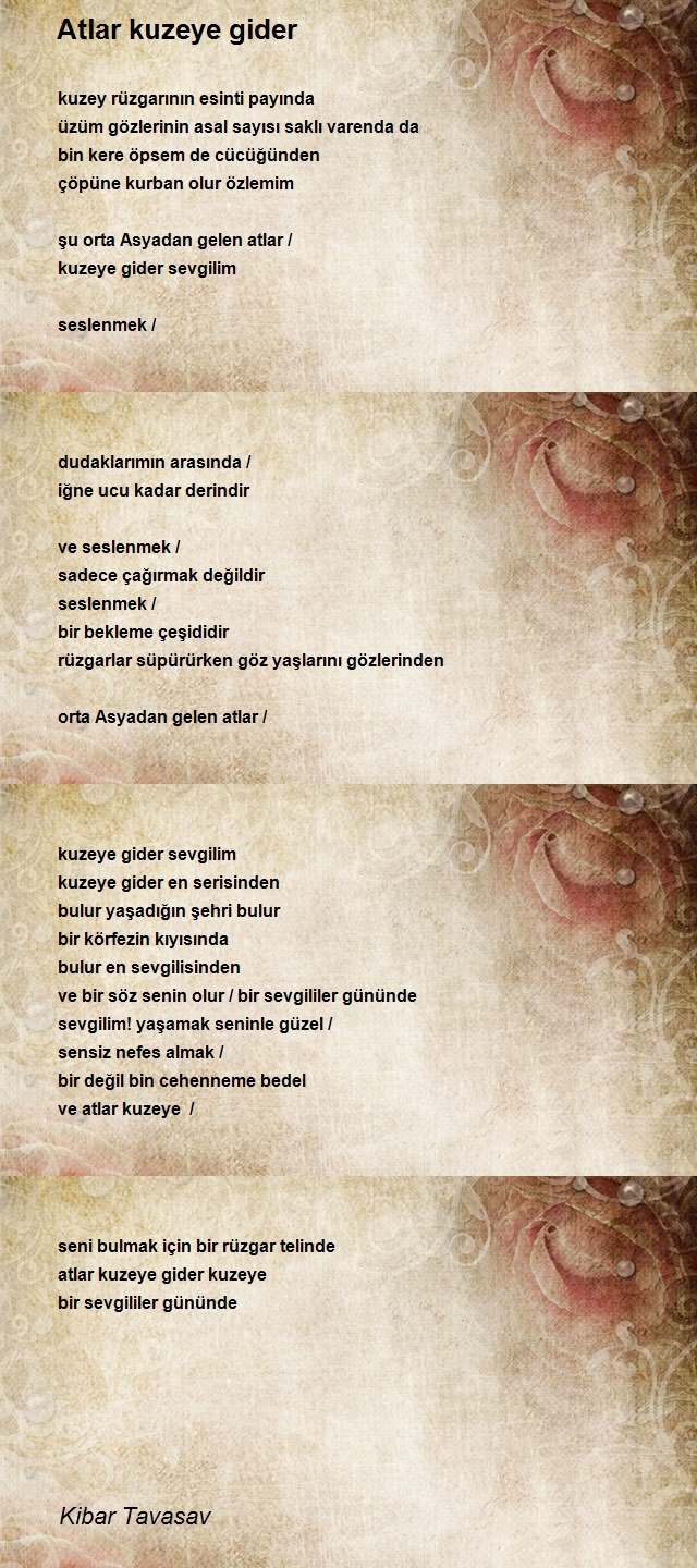 Kibar Tavasav