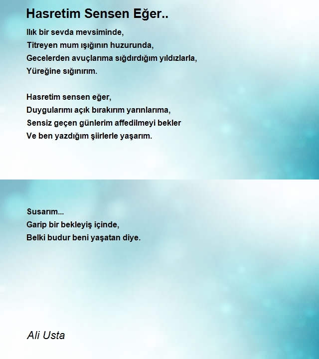 Ali Usta