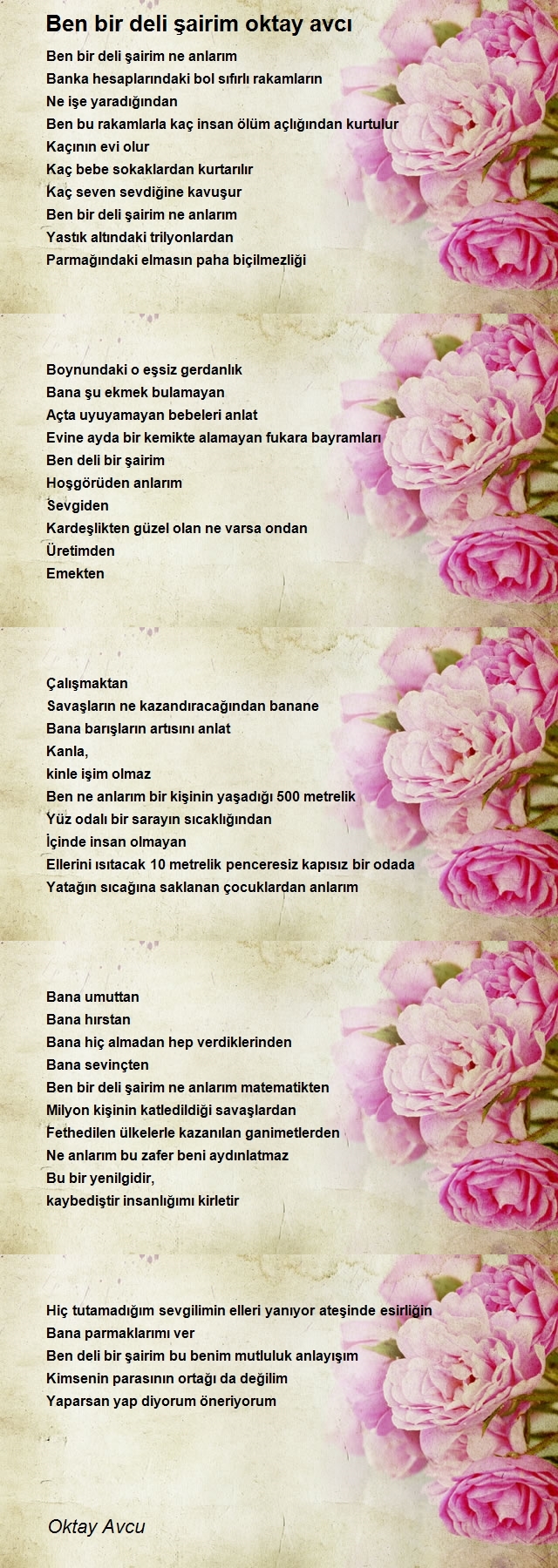 Oktay Avcu