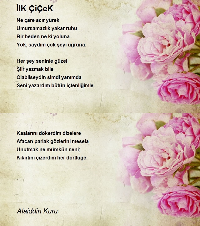 Alaiddin Kuru