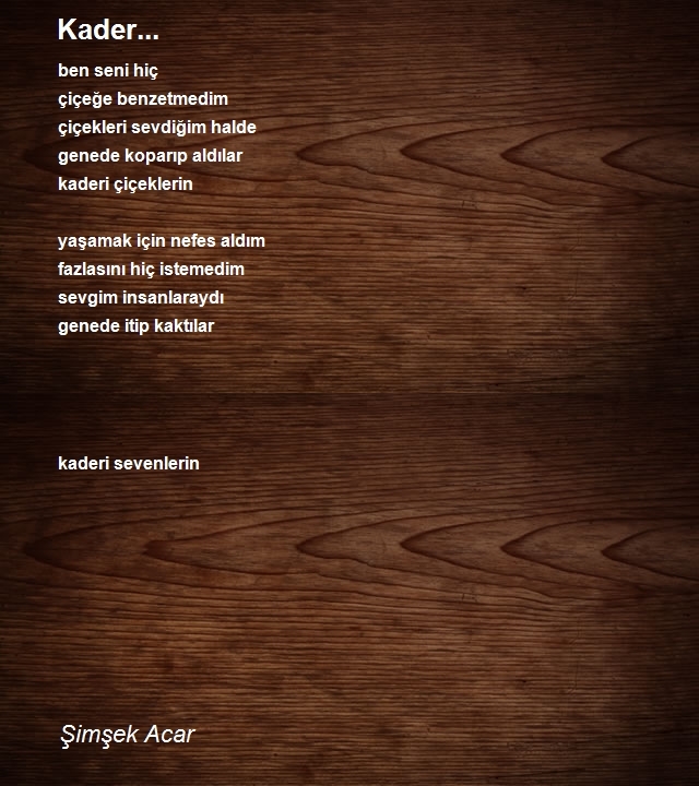 Şimşek Acar