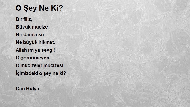 Muradiye Yollu (söğüt)