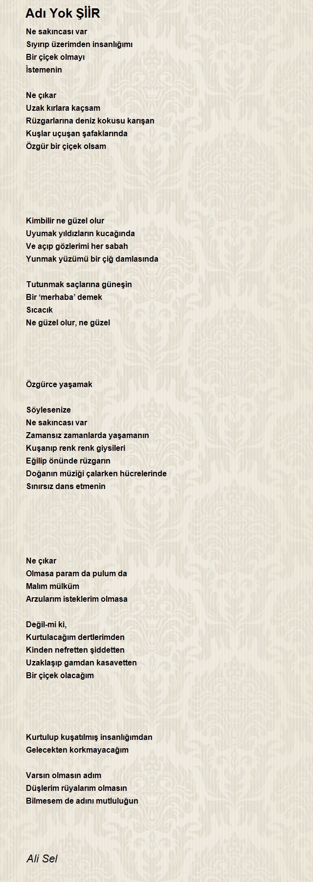 Ali Sel