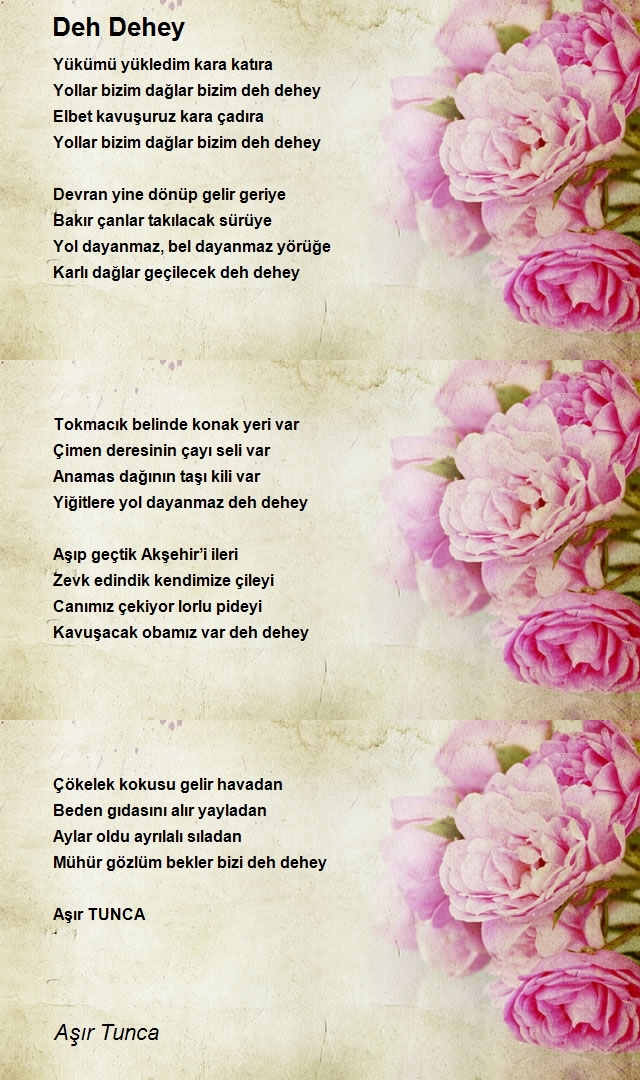 Aşır Tunca