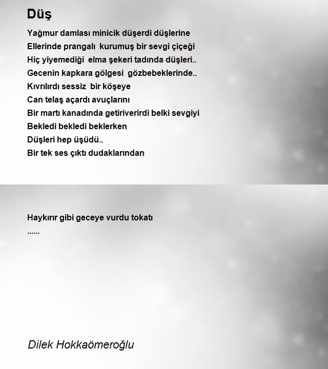 Dilek Hokkaömeroğlu